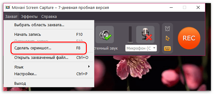 Захват скриншотов в Movavi Screen Capture