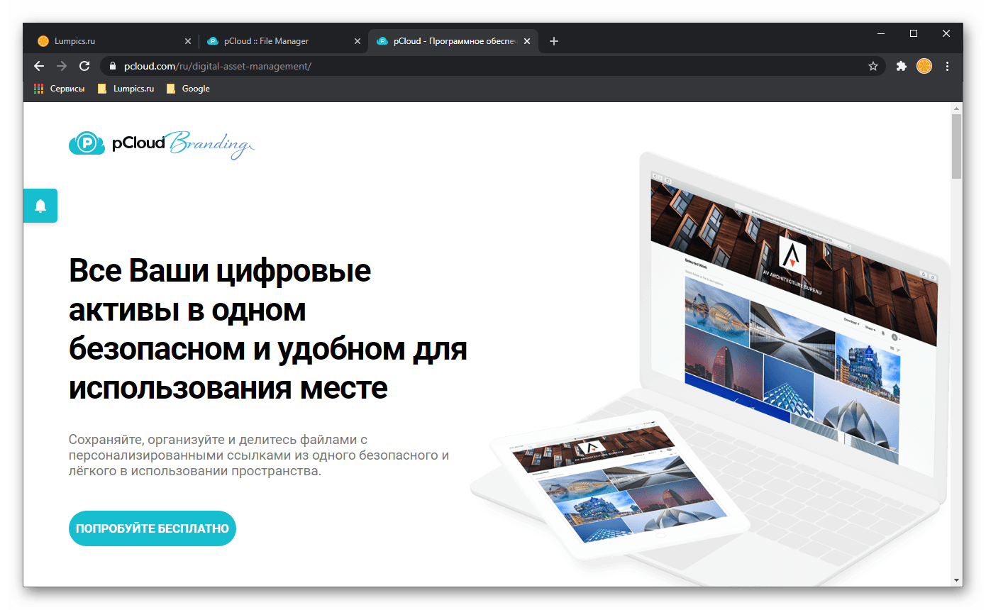 Управление цифровыми активами и брендирование в веб-версии сервиса pCloud Drive