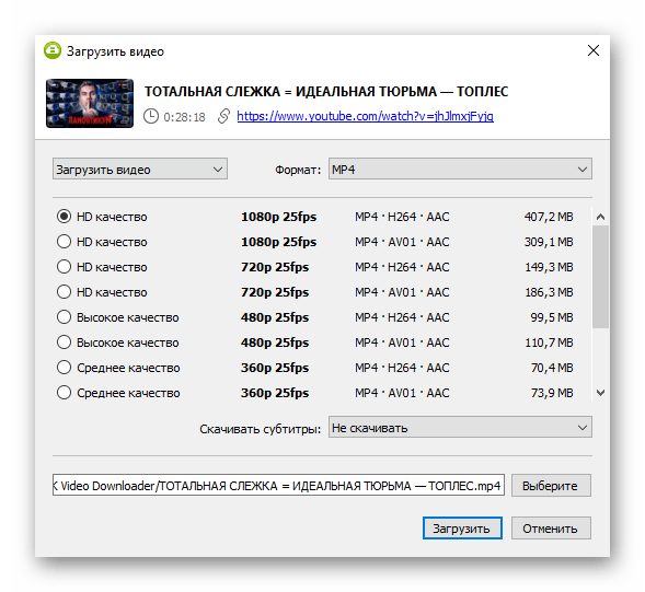 Параметры скачивания одиночного ролика через вставку ссылки в 4K Video Downloader