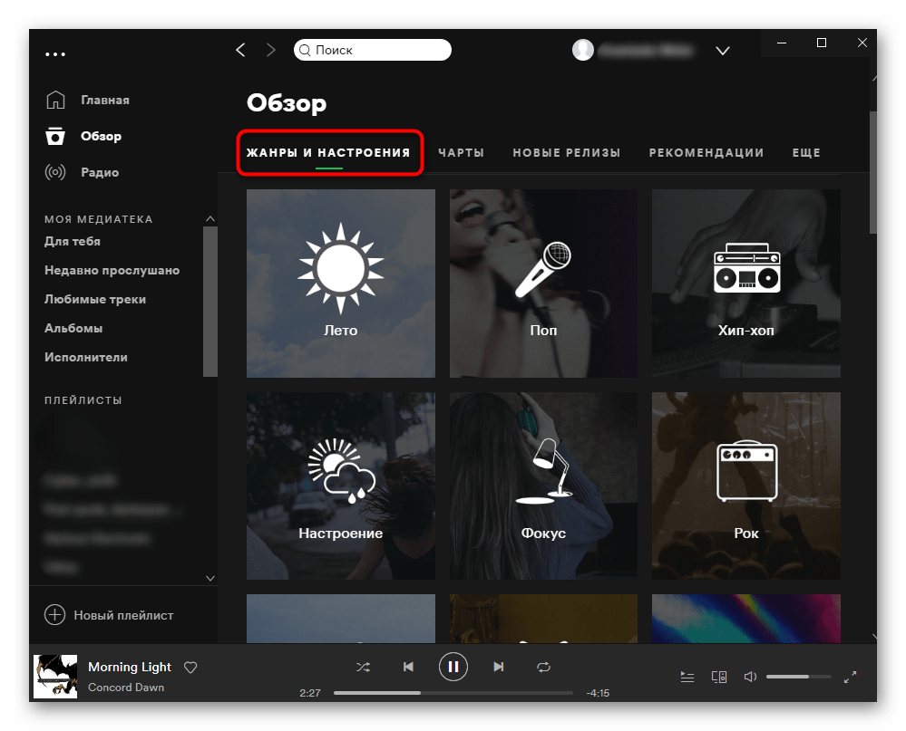 Раздел с плейлистами по настроению и жанру в Spotify