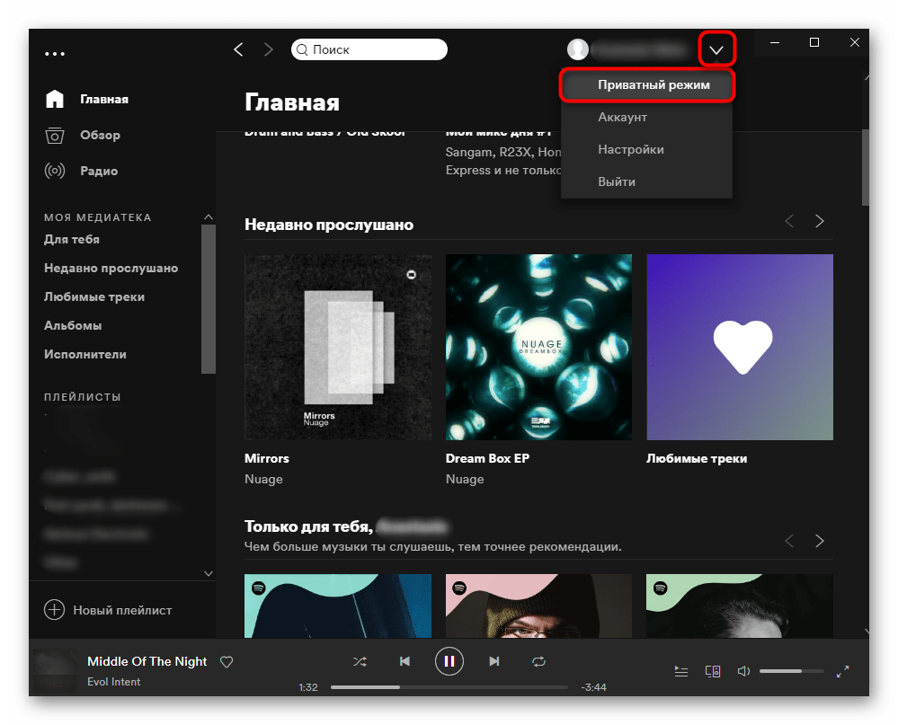 Переход в приватный режим в Spotify