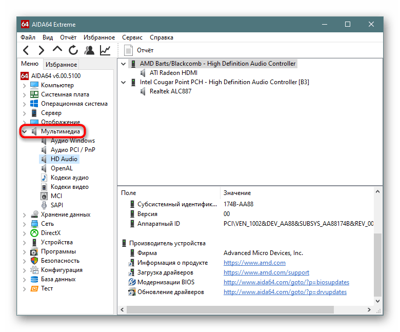 Раздел Мультимедиа в AIDA64