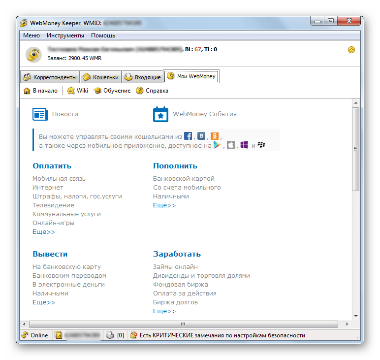 Информация о Вебмани в окне программы WebMoney Keeper