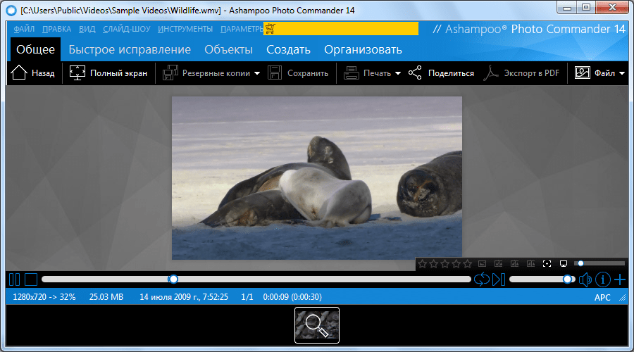 Просмотр видео в Ashampoo Photo Commander