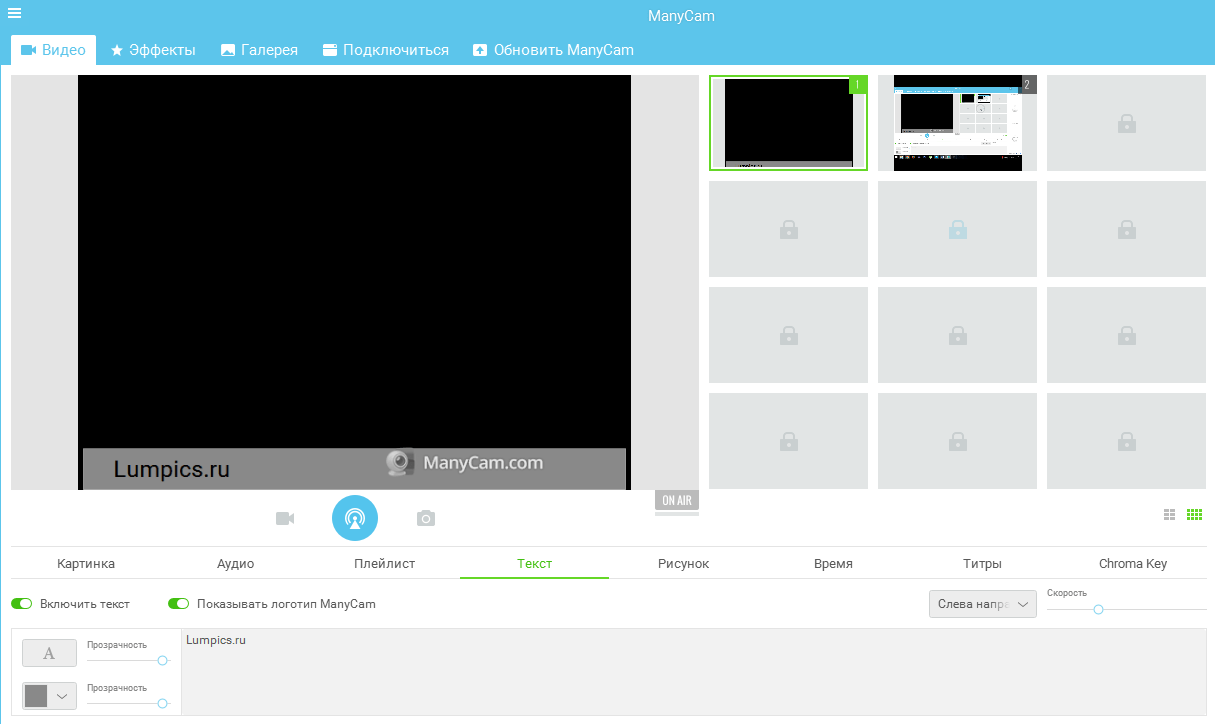 Manycam текст