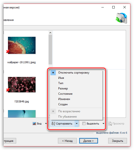Сортировка найденных изображений в RS Photo Recovery