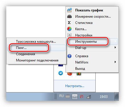 Вызов функции пинга в программе NetWorx