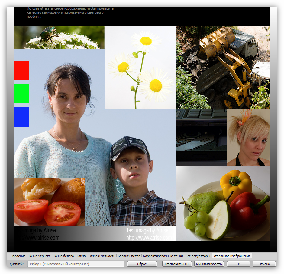 Эталонное изображение для проверки качества калибровки в программе Atrise Lutcurve