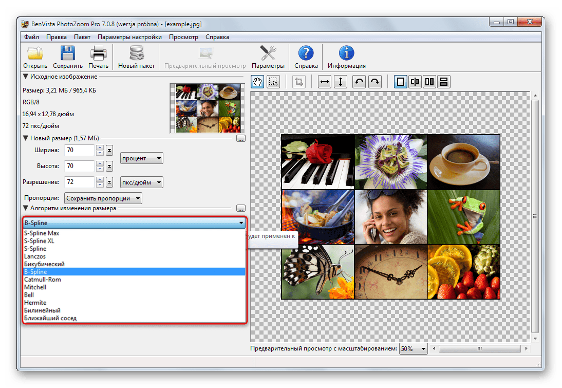 Множество алгоритмов изменения размеров изображений в Benvista PhotoZoom Pro
