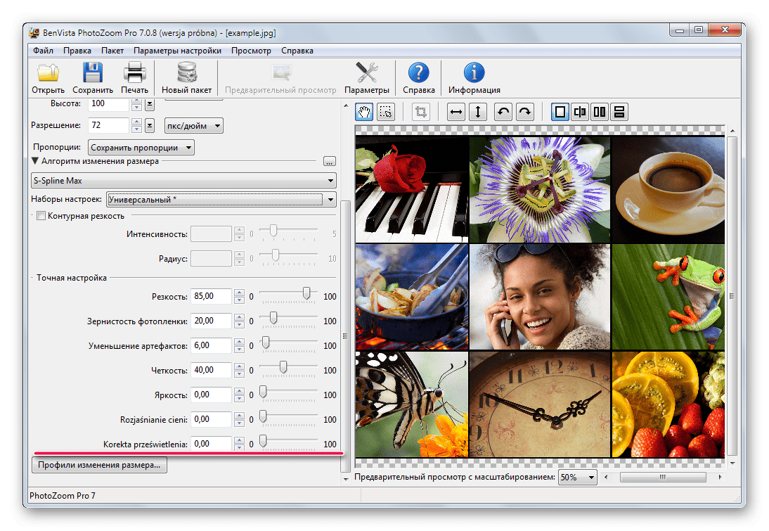 Возможность ручной настройки изменения размеров изображений в Benvista PhotoZoom Pro