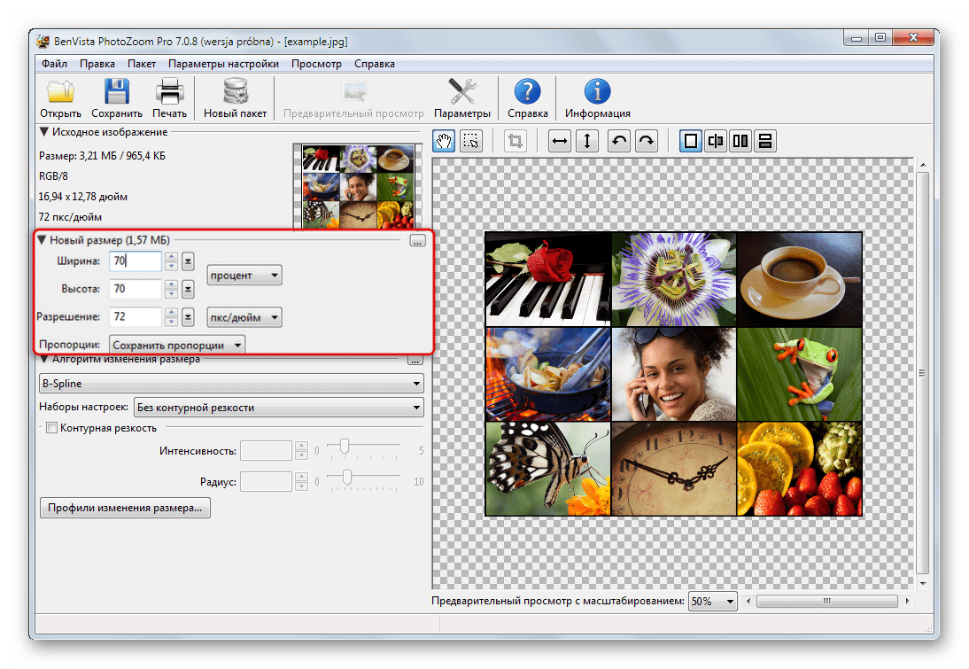 Процесс изменения размера изображения в Benvista PhotoZoom Pro