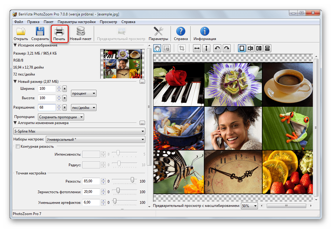 Печать обработанных изображений в Benvista PhotoZoom Pro