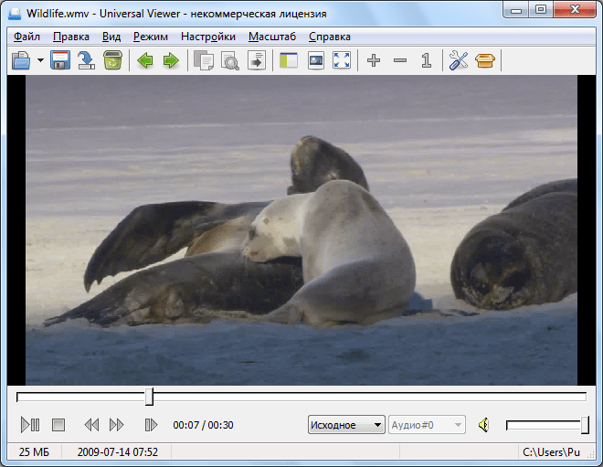Просмотр видео в программе Universal Viewer