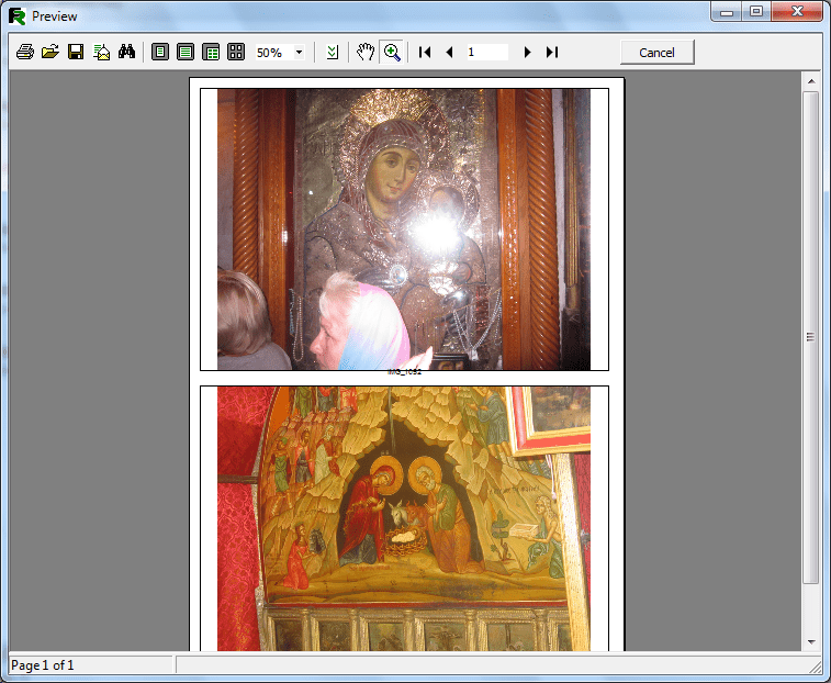 Предпросмотр печтаемых фотографий в программе Photo Printer