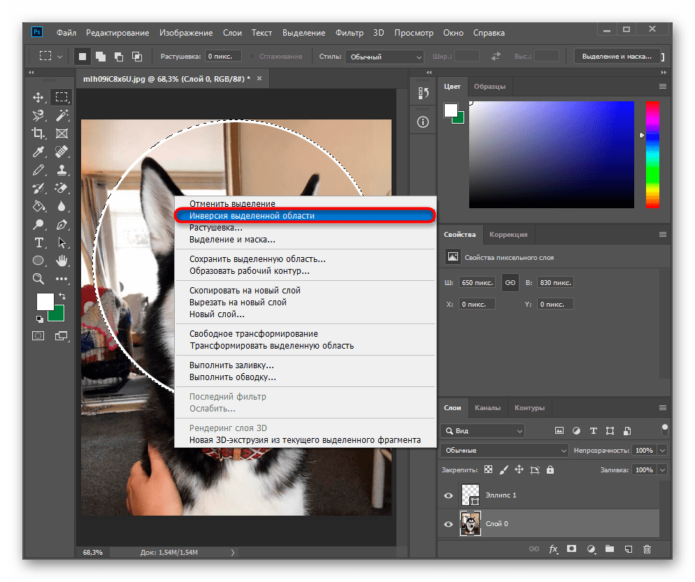 Инверсия выделенной области через контекстное меню для вырезания круга в Adobe Photoshop