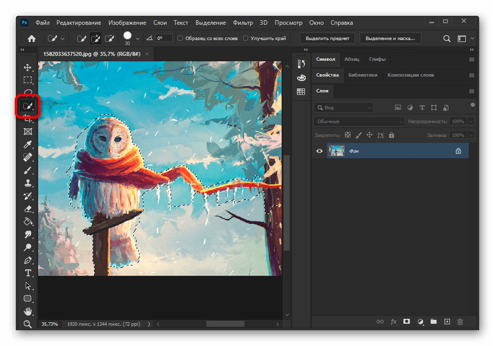 Процесс выделения объекта в Adobe Photoshop