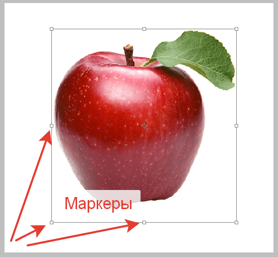 Растягиваем изображение в Фотошопе