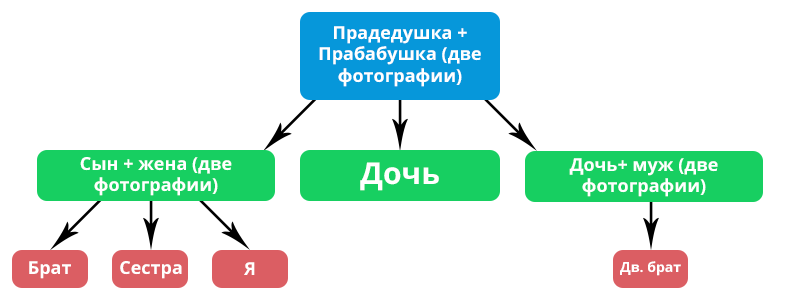 Схема составления генеалогического древа начиная с предковв Фотошопе