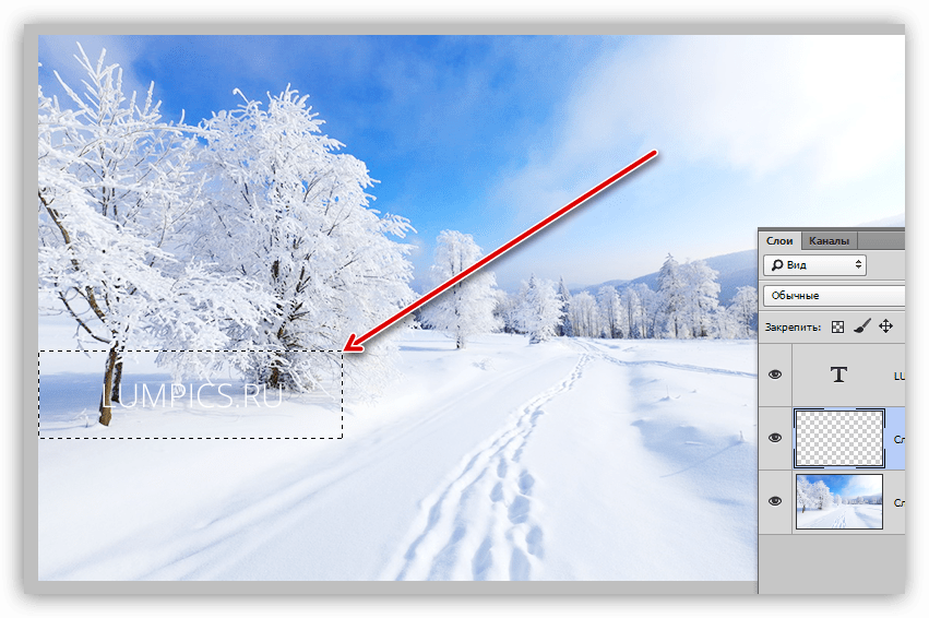 Выделенная область для подложки в Фотошопе