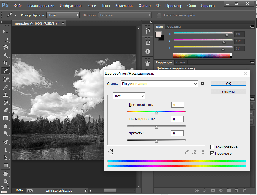 Обесцвечивание и коррекция в Фотошопе