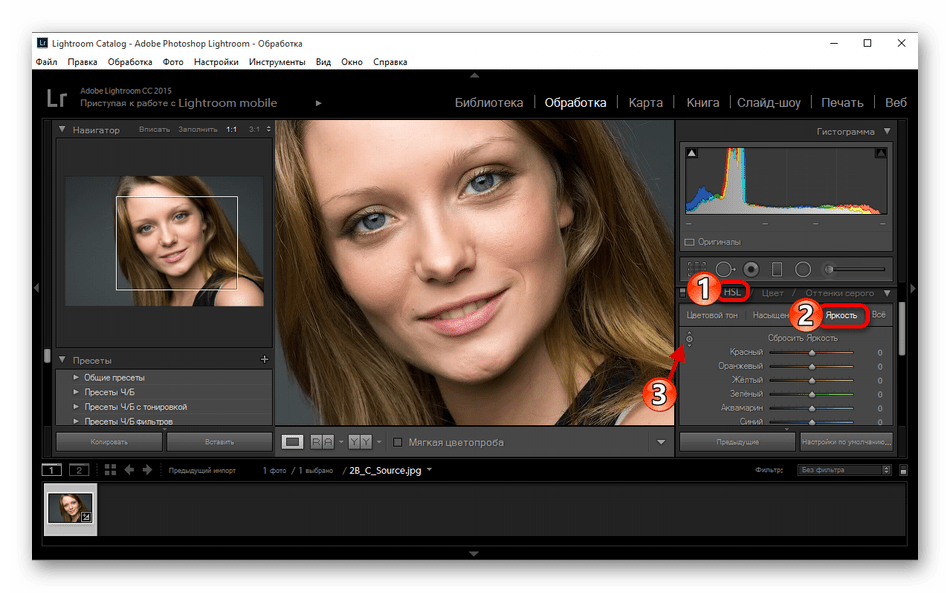 Ретушь портрета в программе Adobe Lightroom