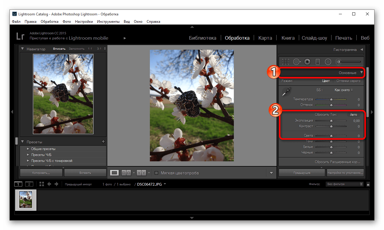 Настройка тени и света для оценки состояния фотографии в программе Adobe Photoshop Lightroom