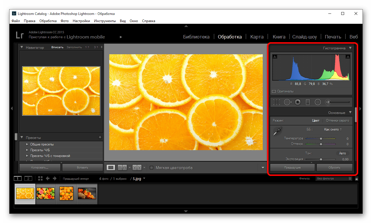 Обработка фотографии в программе Adobe Photoshop Lightroom