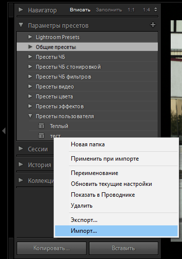 пресеты в Lightroom 2