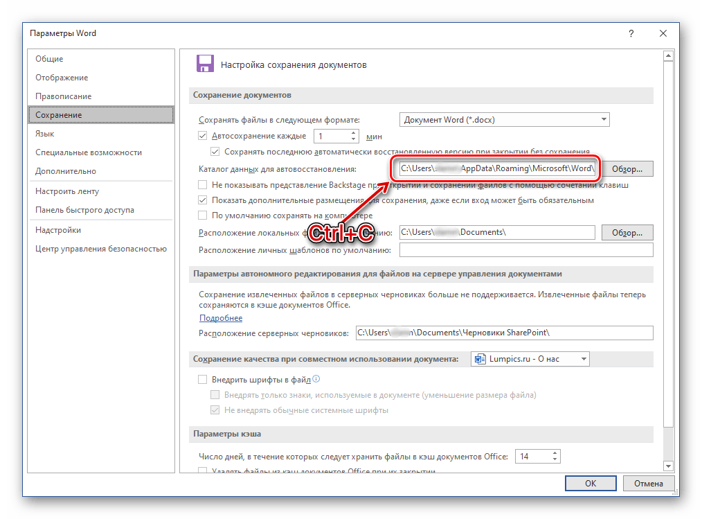 Копирование пути к папке с сохранениями в параметрах текстового редактора Microsoft Word