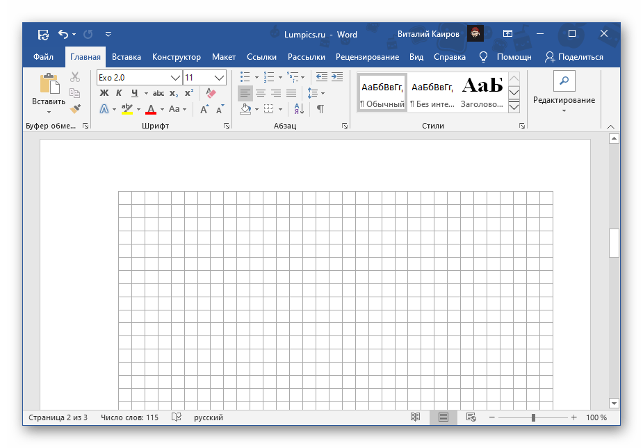 Результат добавления сетки нужных размеров в документе Microsoft Word