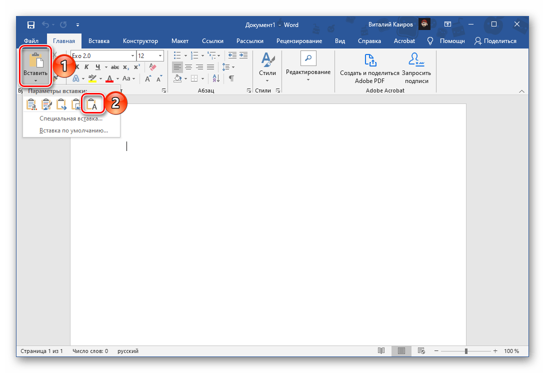 Вставка только текста в документ в программе Microsoft Word