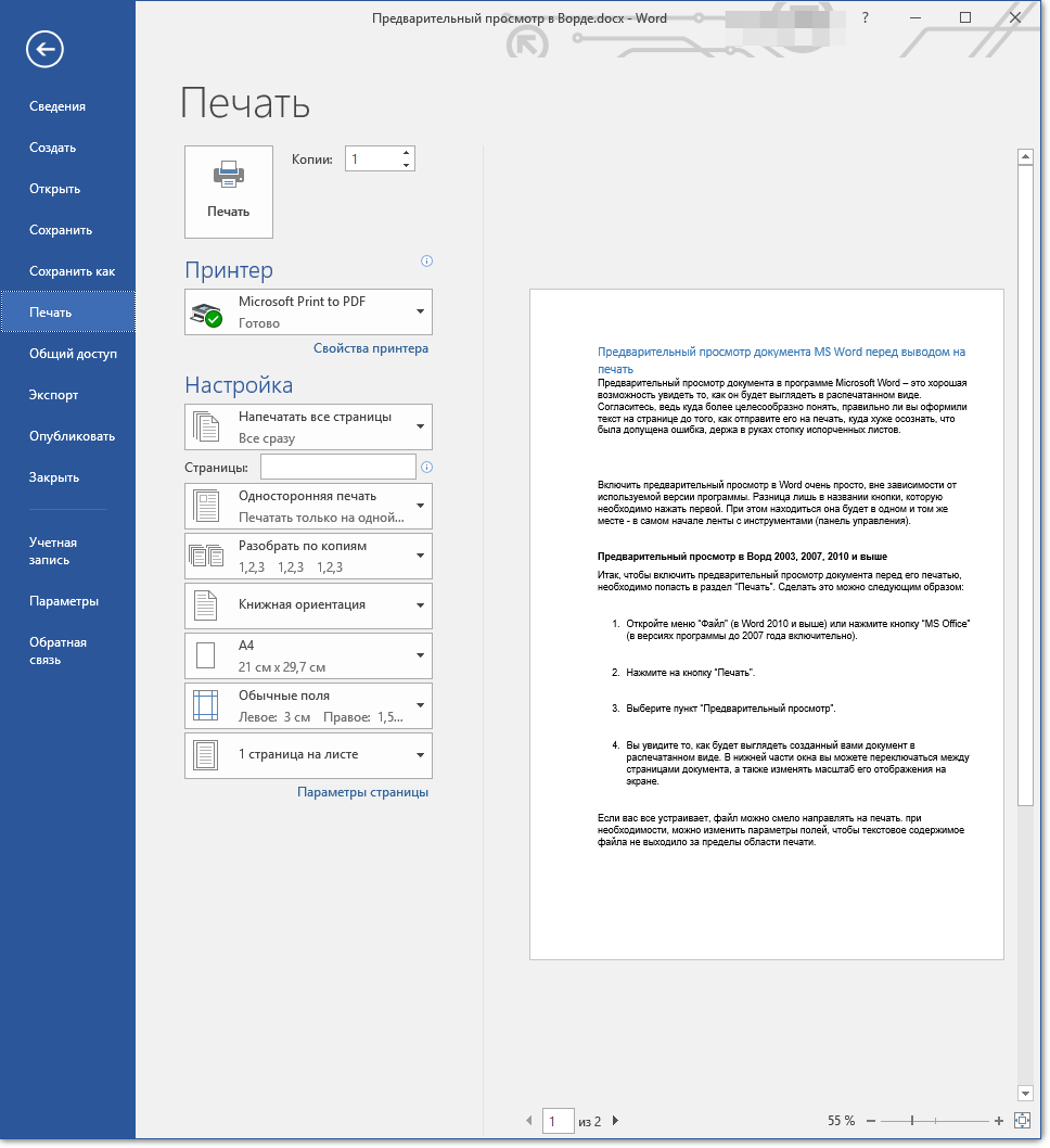 Предварительный просмотр в Word