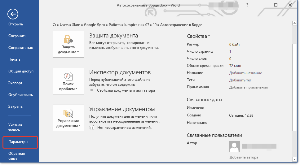 razdel-parametryi-v-word