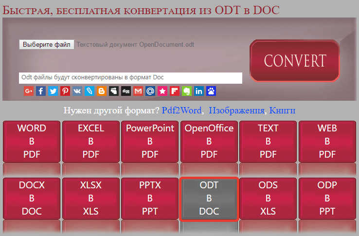 выбор типа конвертирования в Конвертере Odt в Doc