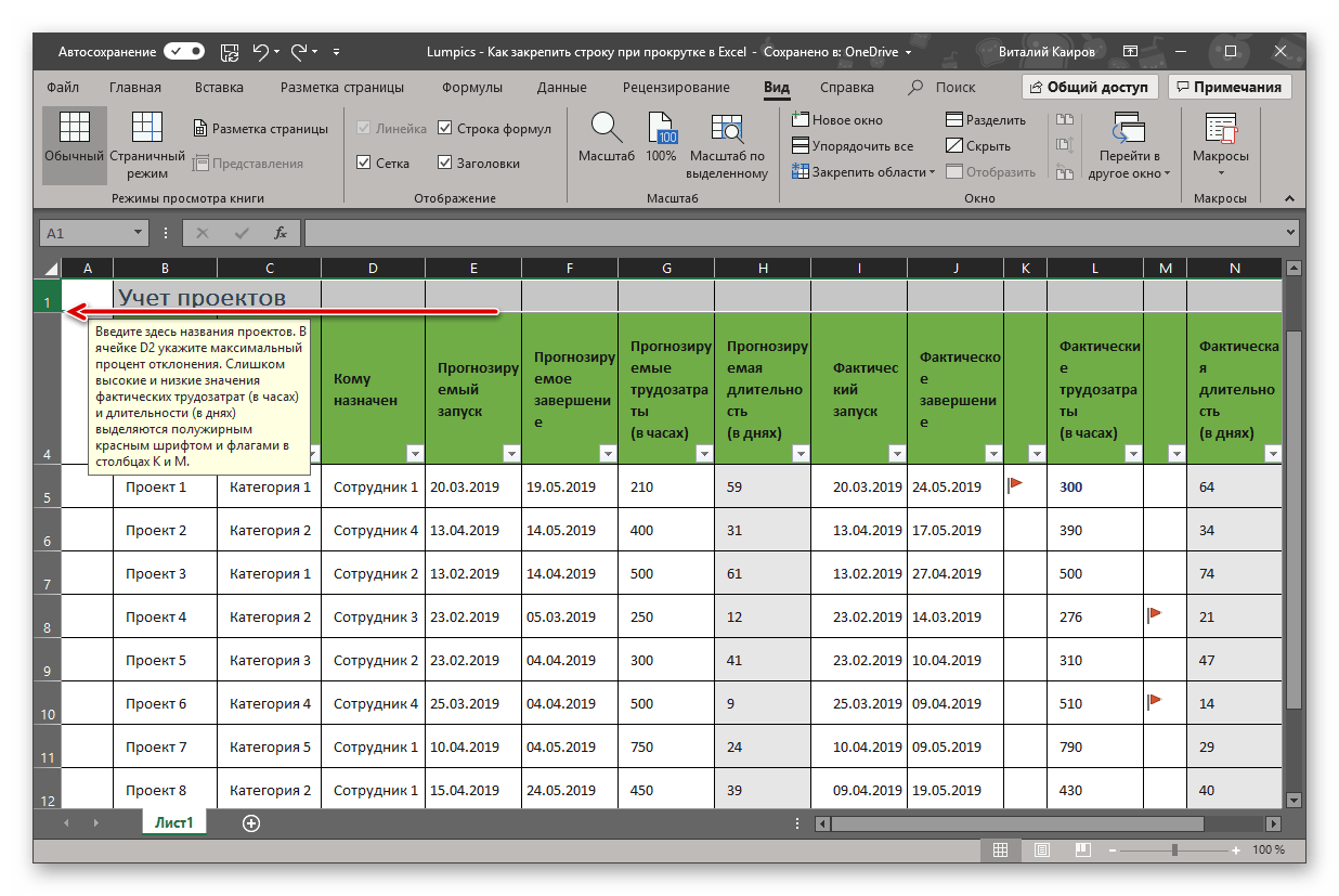 Результат успешного закрепления стркои в таблице в программе Microsoft Excel