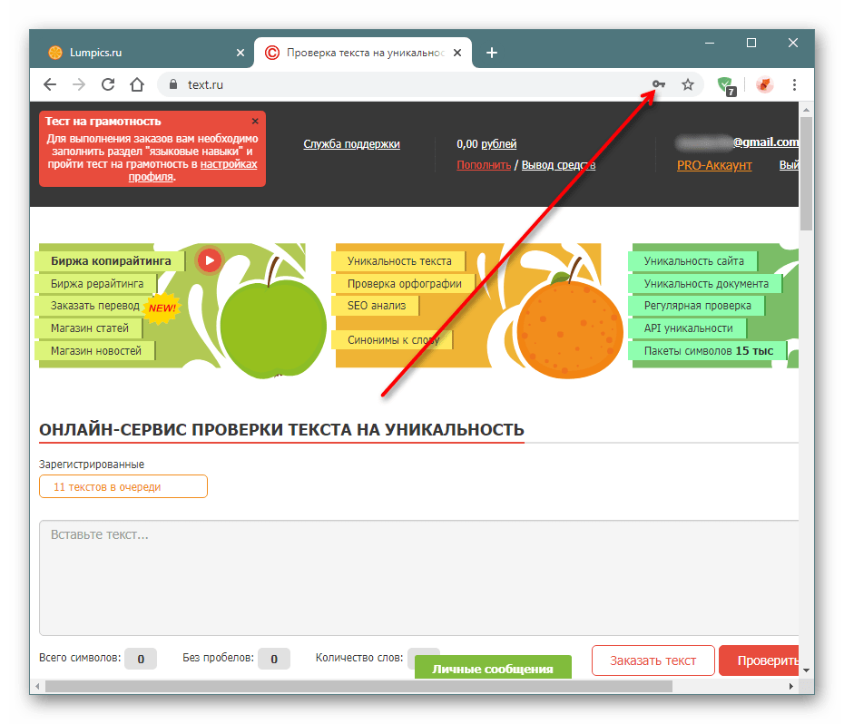 Иконка сохраненного пароля для сайта в Google Chrome