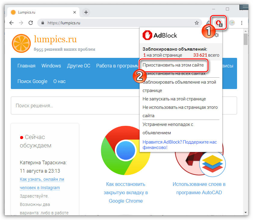 Приостановление работы AdBlock на конкретном сайте в Google Chrome