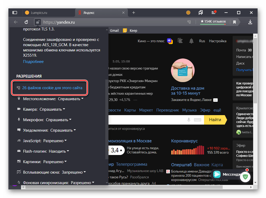 Переход к просмотру файлов куки для этого сайта в Яндекс.Браузере на ПК