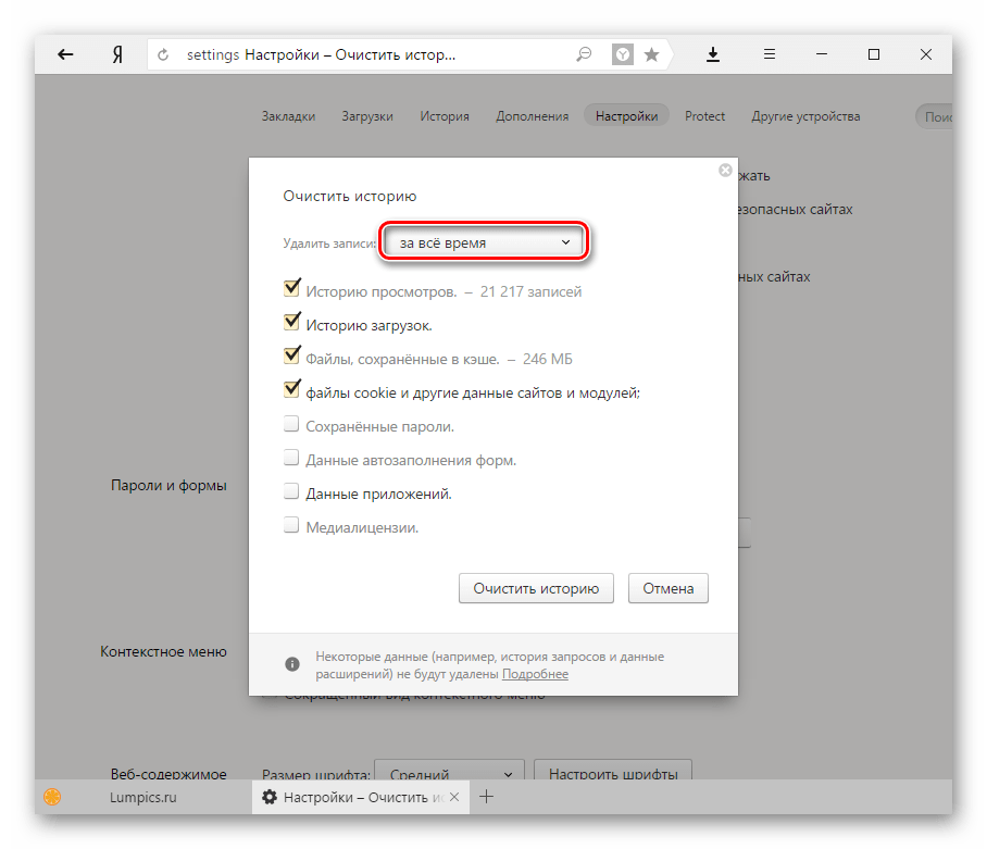 Очистка истории Яндекс.Браузера-3