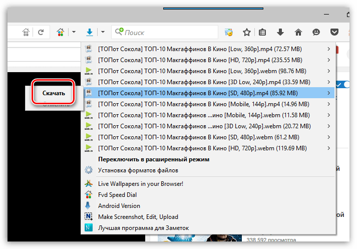 Flash Video Downloader для Firefox