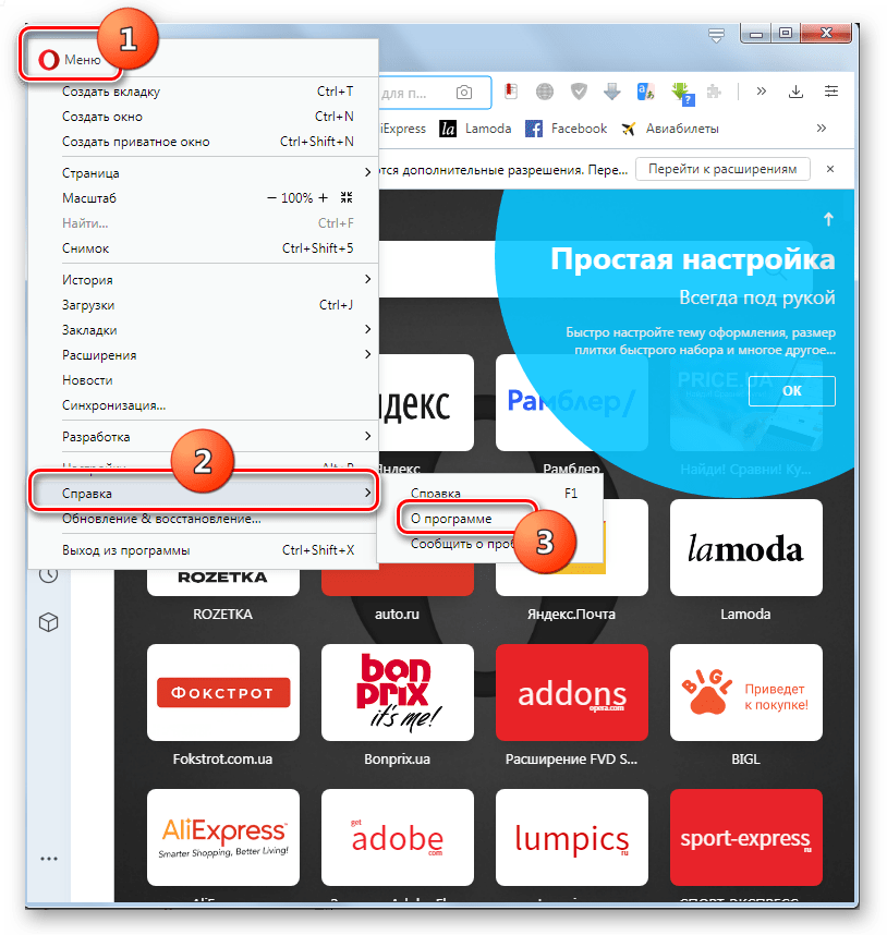 Переход к разделу О программе в главном меню браузера Opera