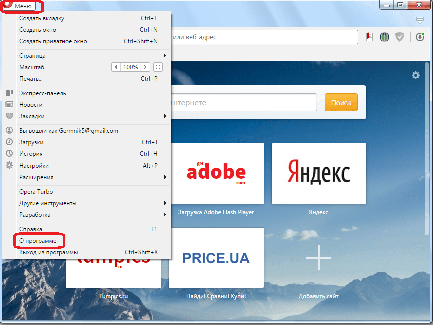Переход в раздел О программе в Opera