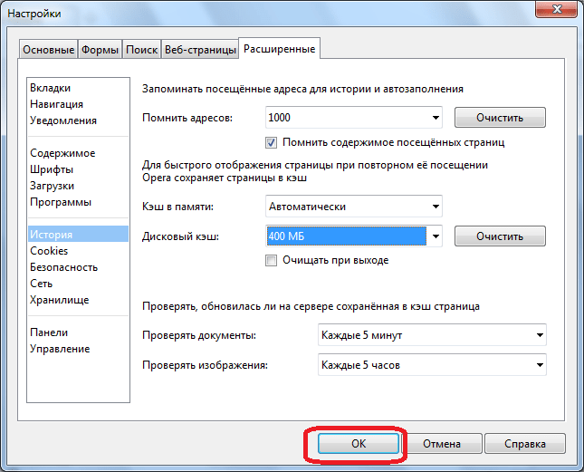 Присенение введеных параметров в браузере Opera