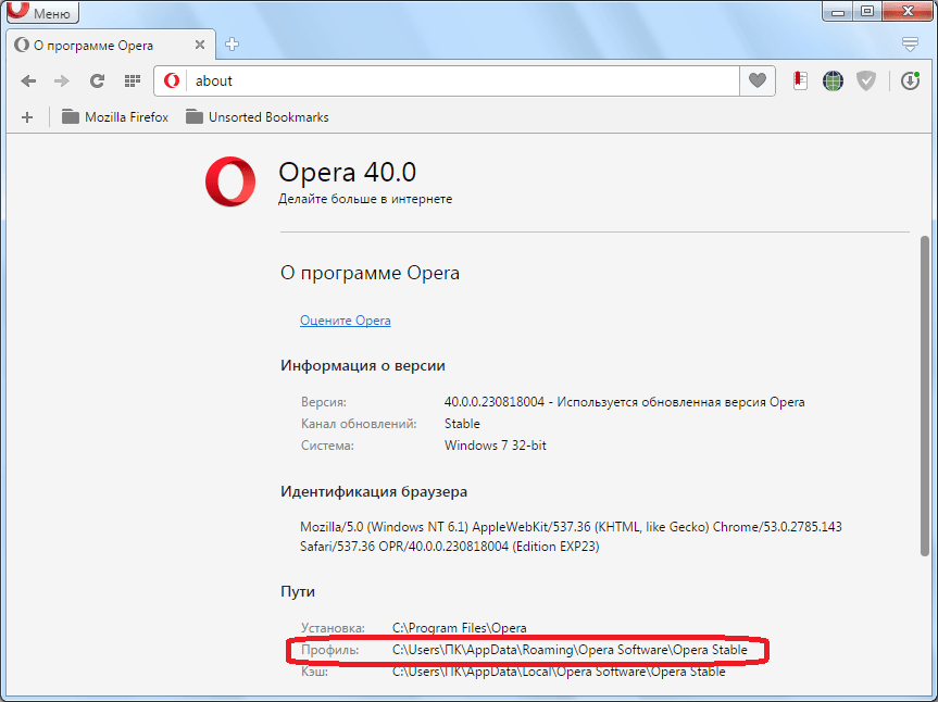 Раздел О программе в Opera