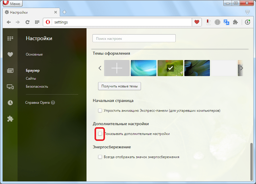 Включение дополнительных настроек в браузере Opera