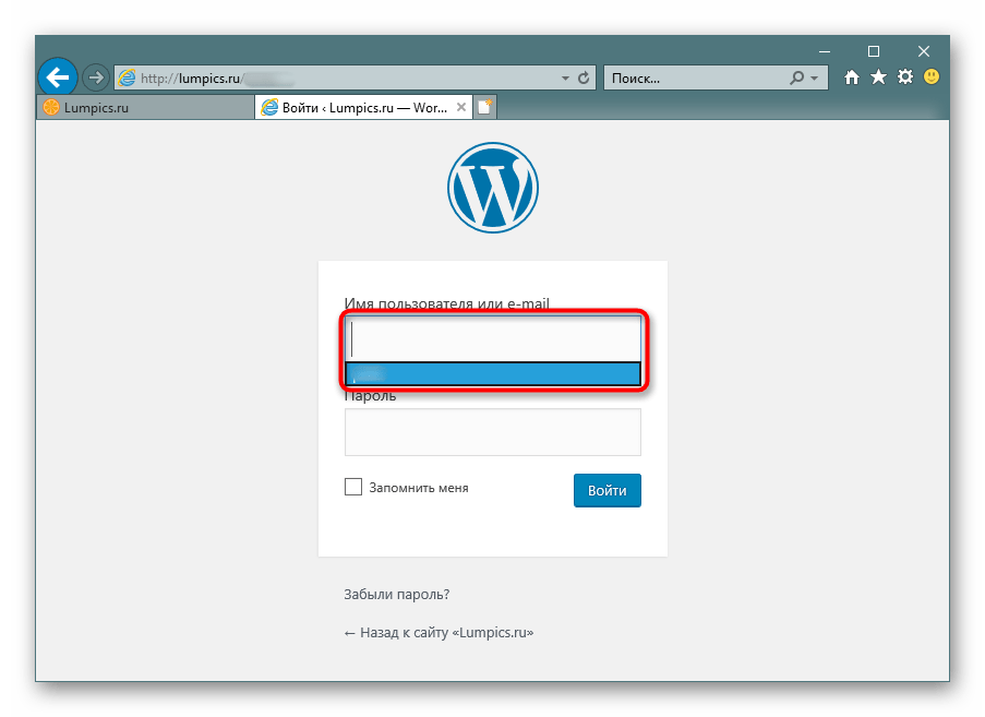 Вызов сохраненной формы логина и пароля для быстрого входа на сайт в Internet Explorer