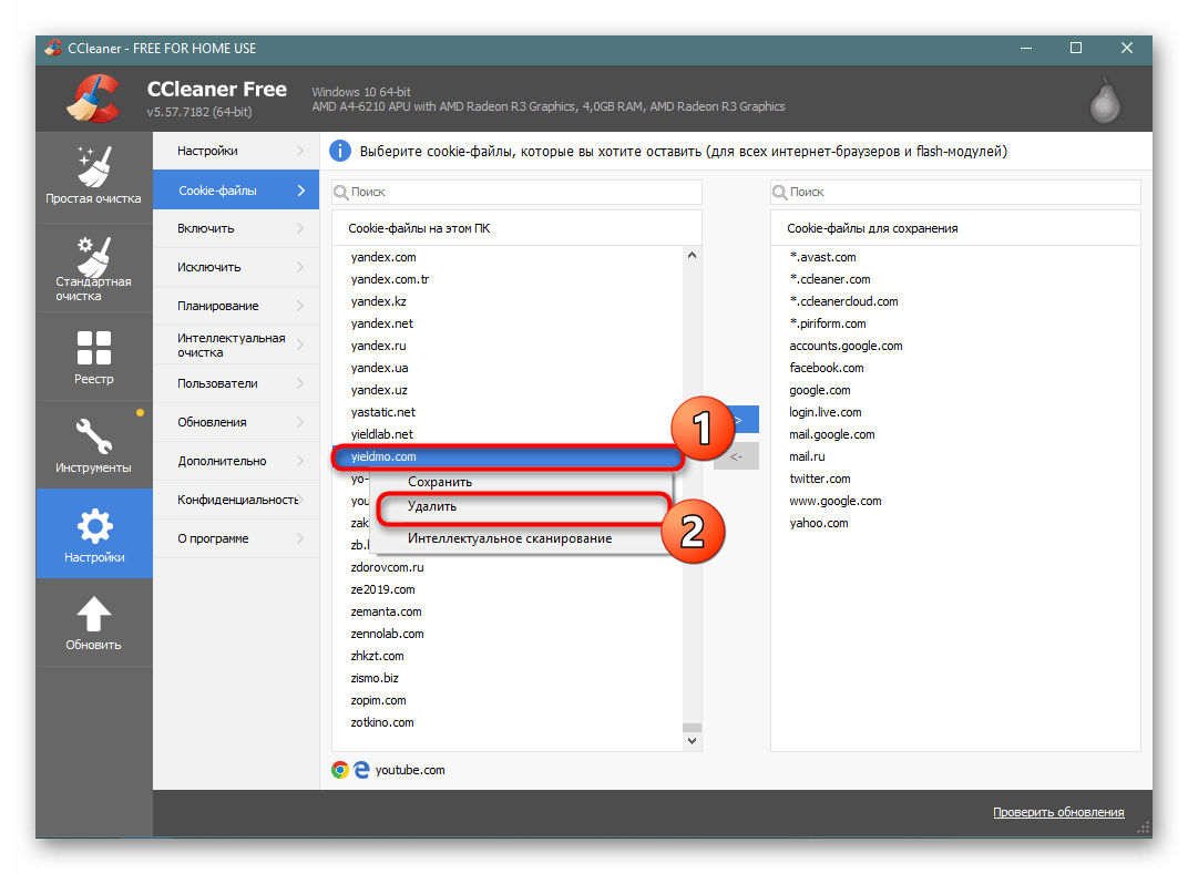 Выбор сайта для удаления файлов куки в программе CCleaner