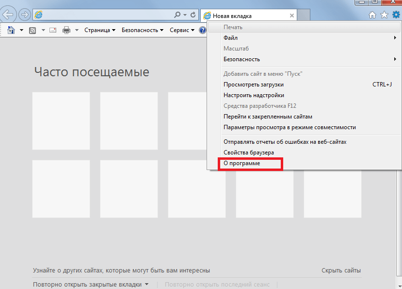 IE. О программе