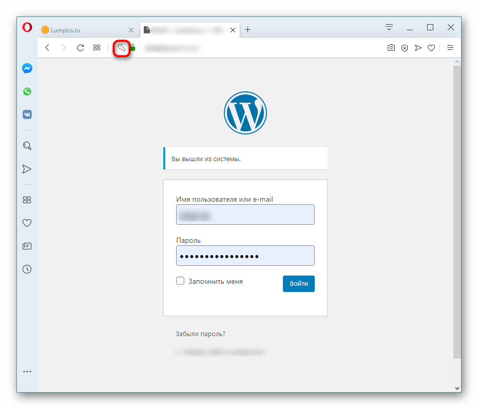 Кнопка сохраненного пароля в адресной строке открытого сайта в Opera