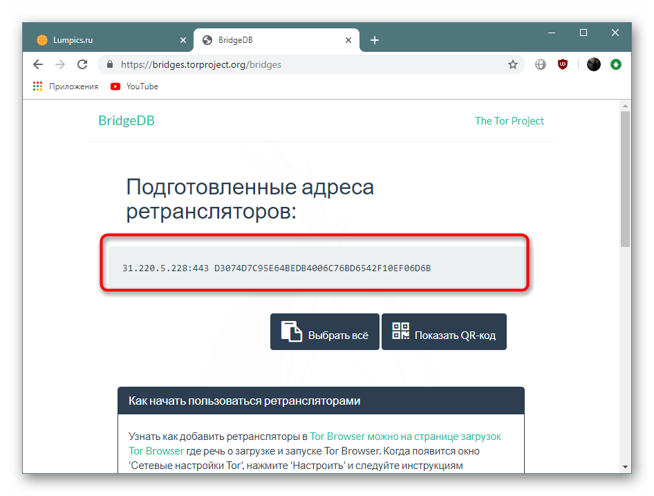 Копирование полученного моста со специального сайта Tor Browser